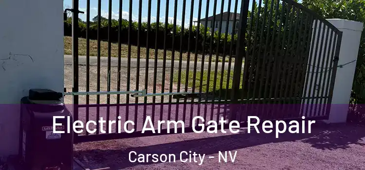 Electric Arm Gate Repair Carson City - NV