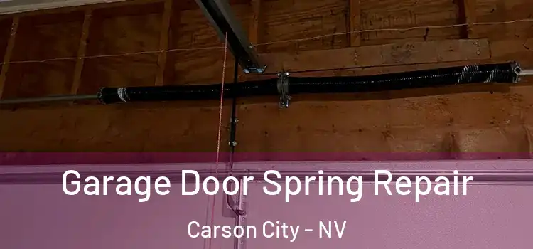  Garage Door Spring Repair Carson City - NV