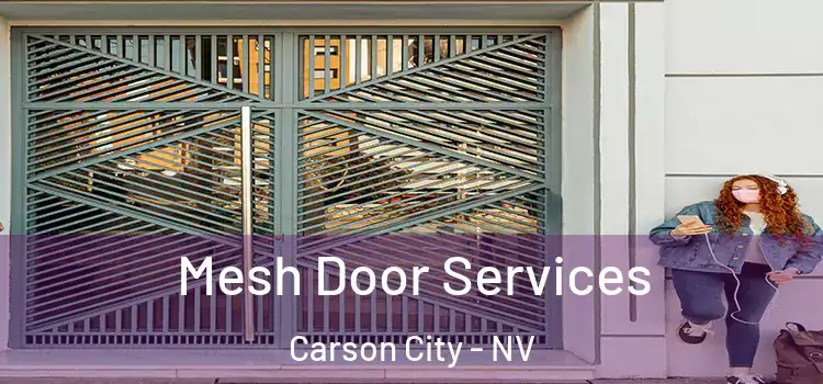 Mesh Door Services Carson City - NV
