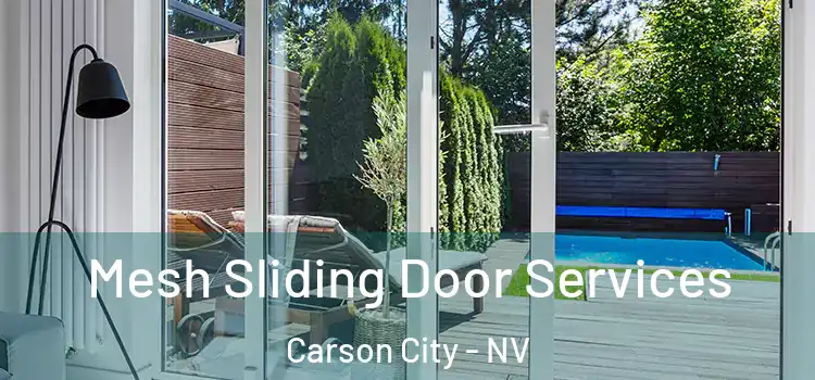 Mesh Sliding Door Services Carson City - NV