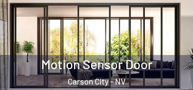 Motion Sensor Door Carson City - NV