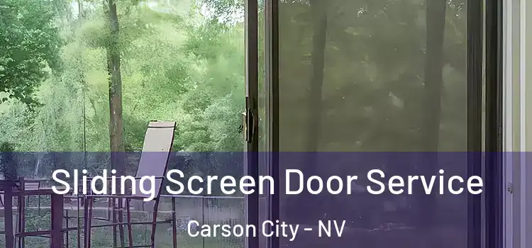 Sliding Screen Door Service Carson City - NV